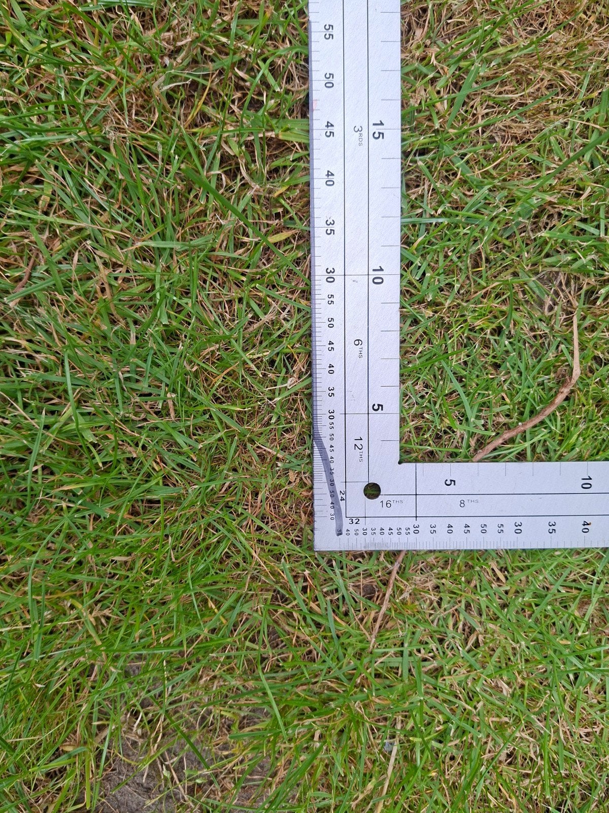 Nieuwe Winkelhaak 60cm - Precisie Meetgereedschap, Ophalen of Verzenden, Nieuw, Overige typen, Overige merken