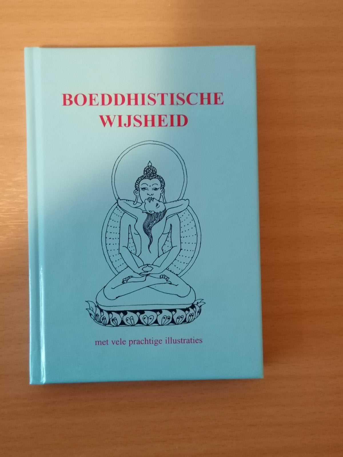 Boeddhistische Wijsheid - Met Prachtige Illustraties, Achtergrond en Informatie, Spiritualiteit algemeen, Ophalen of Verzenden