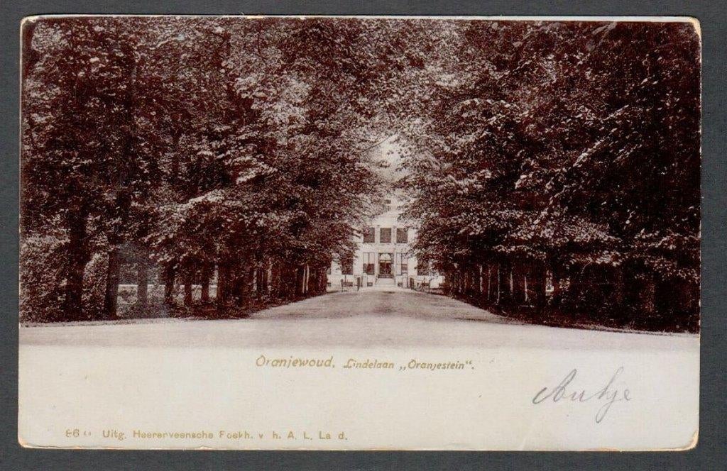 Oude Ansicht - Oranjewoud - Lindelaan Oranjestein 1905 - Frl, Ophalen of Verzenden, Voor 1920, Gelopen, Flevoland