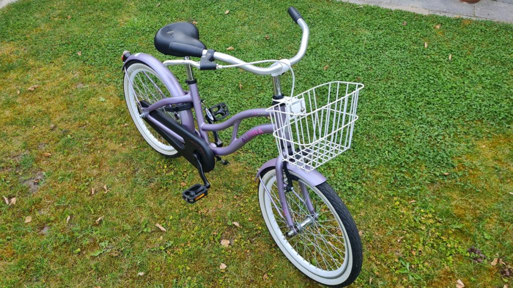 Meisjes fiets 20" Alpina Ocean (mandje, hand-/terugtraprem), Ophalen, Zo goed als nieuw, Terugtraprem, Alpina ocean