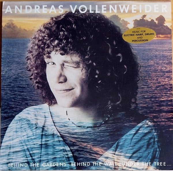 Andreas Vollenweider -Behind The Gardens -The Wall -The Tree, Beschermende buitenhoes, Ophalen of Verzenden, Gebruikt, 12 inch