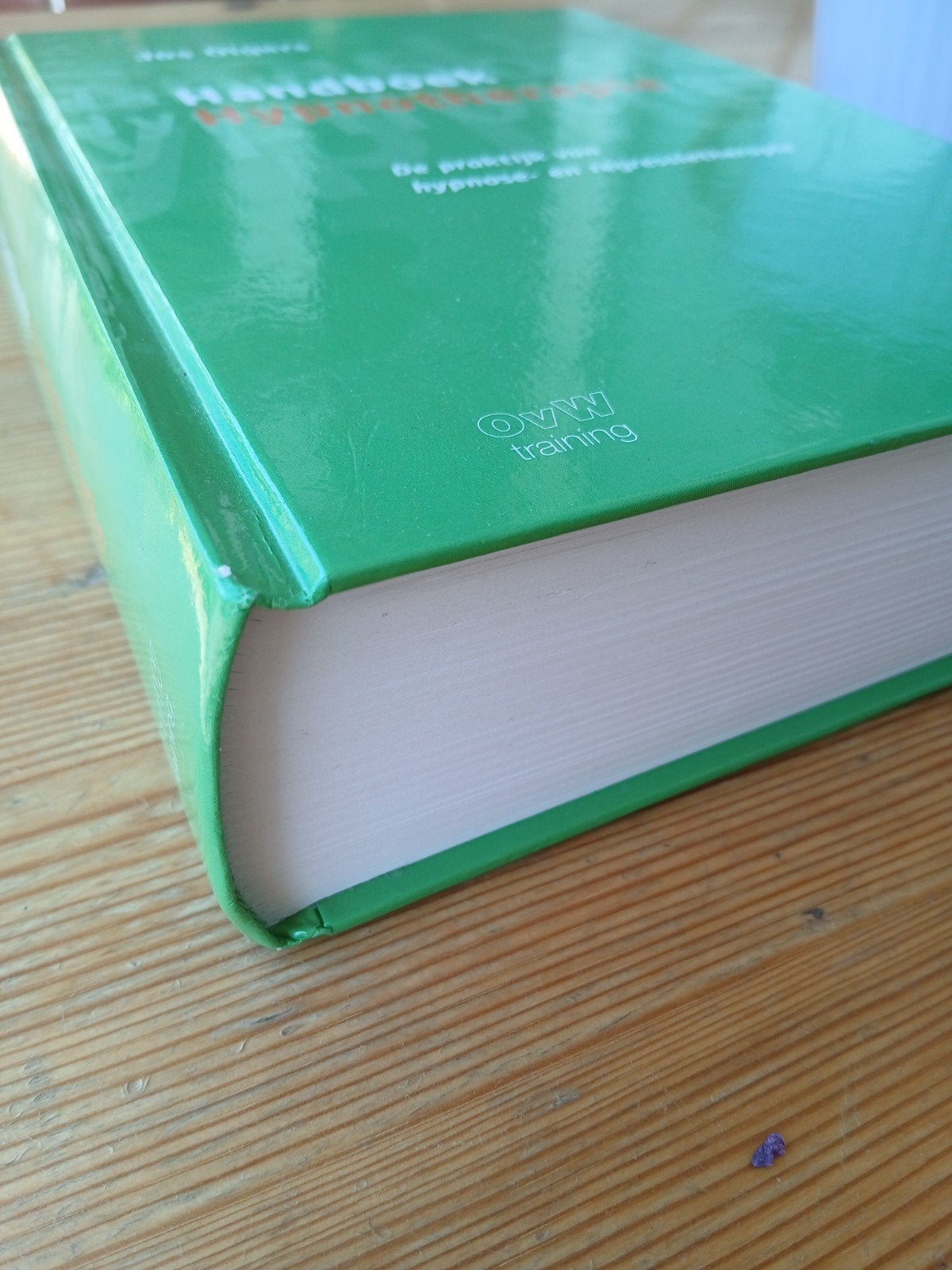 Handboek hypnotherapie Jos Olgers, Boeken, Ophalen, Spiritualiteit algemeen, Jos Olgers, Overige typen