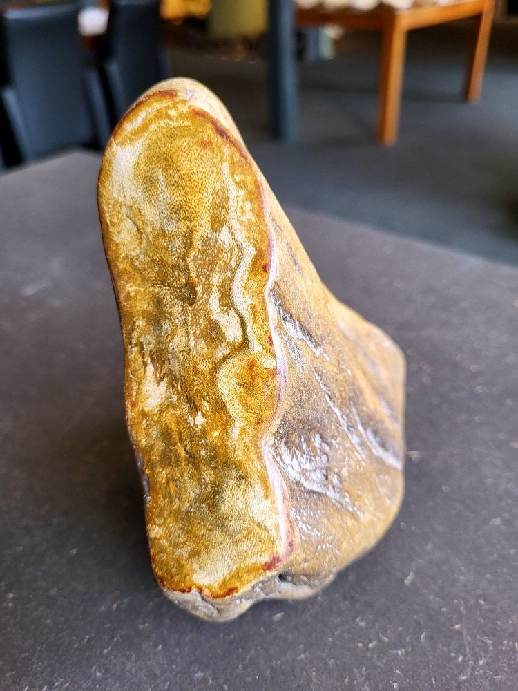 Versteend hout, 1kg, 8,- euro, Ophalen, Mineraal