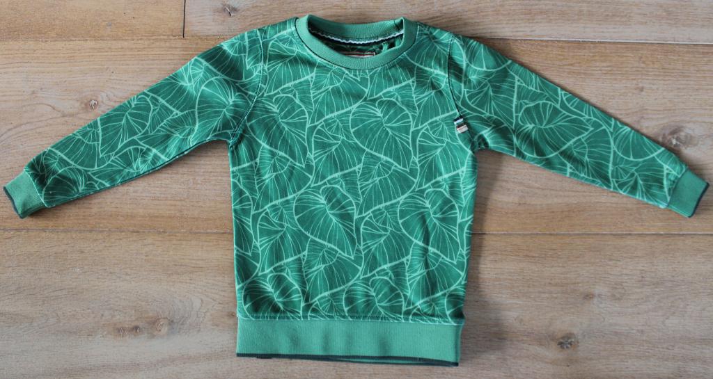 Sweater van 4 funky flavours 110/116, Gebruikt, Trui of Vest, Ophalen of Verzenden, Jongen