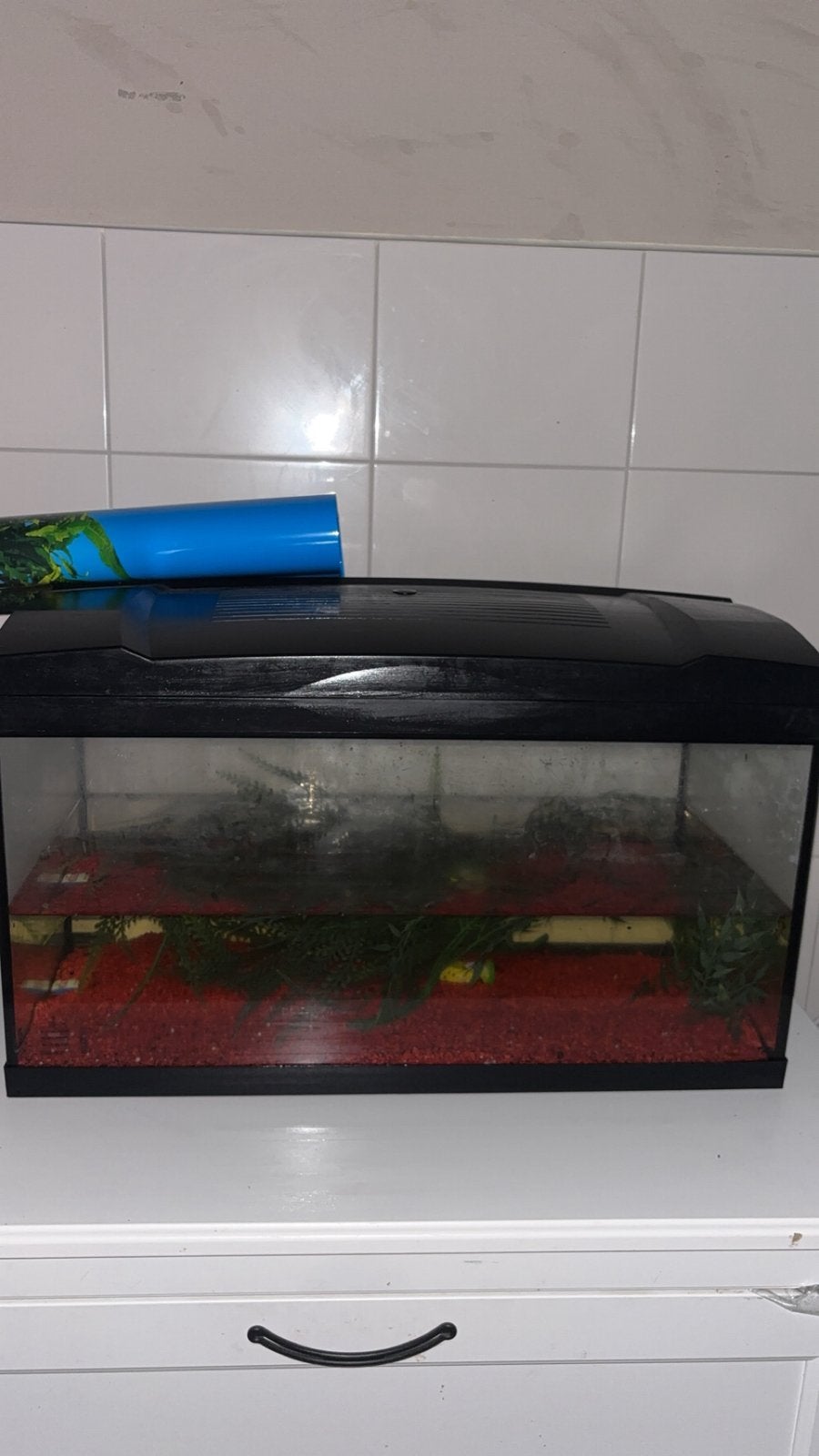 Aquarium te koop, Ophalen of Verzenden, Zo goed als nieuw, Leeg aquarium