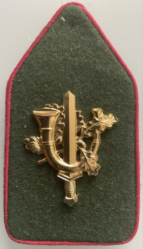 Kraagspiegel Regiment Infanterie Limburgse Jagers, Verzamelen, Verzenden, Landmacht, Nederland, Embleem of Badge
