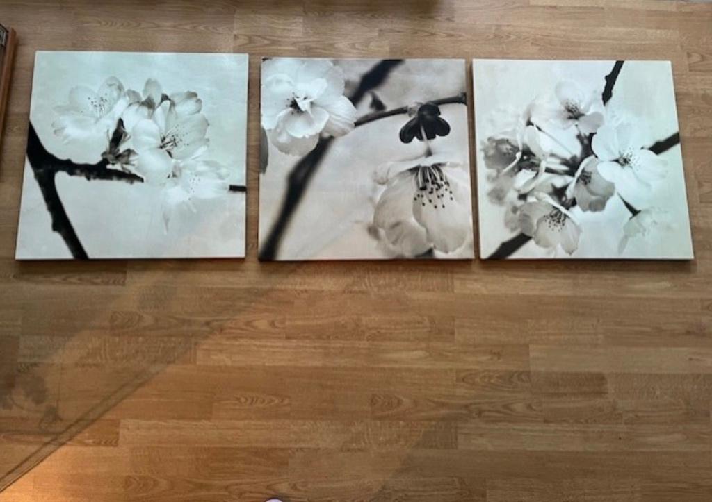 Drieluik canvas schilderij bloesem ikea, Antiek en Kunst, Ophalen