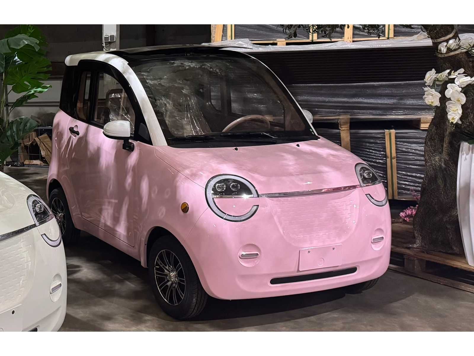 2026 brommobiel elektrisch (45 km/h), Fietsen en Brommers, Gebruikt