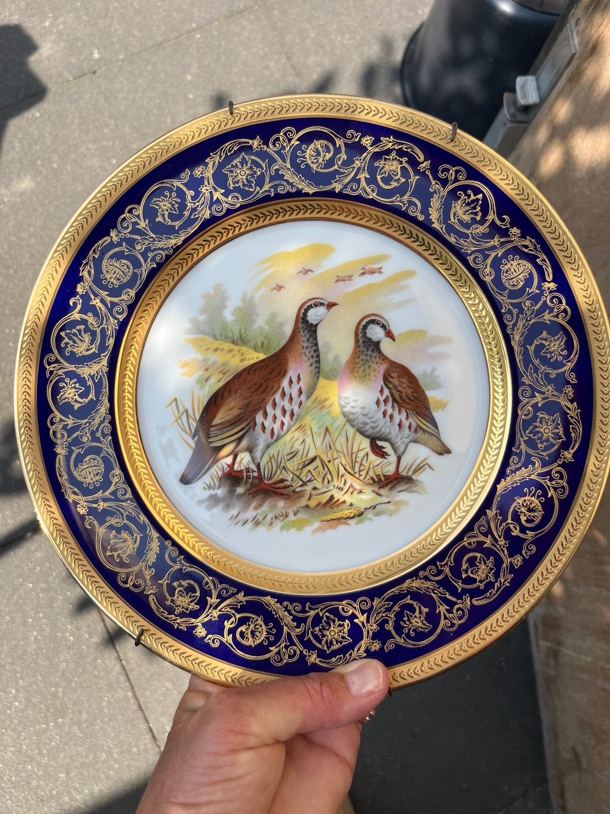 Limoges Frankrijk Decoratieve Plaat met Patrijzen, Ophalen