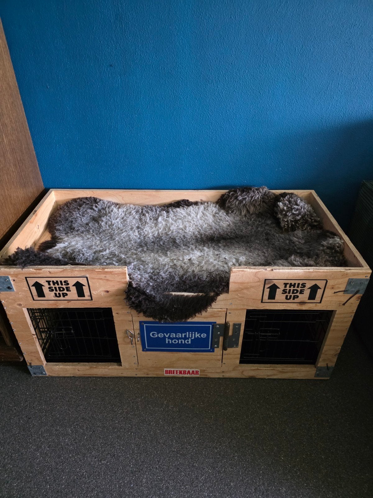 Custom made honden bench, Ophalen