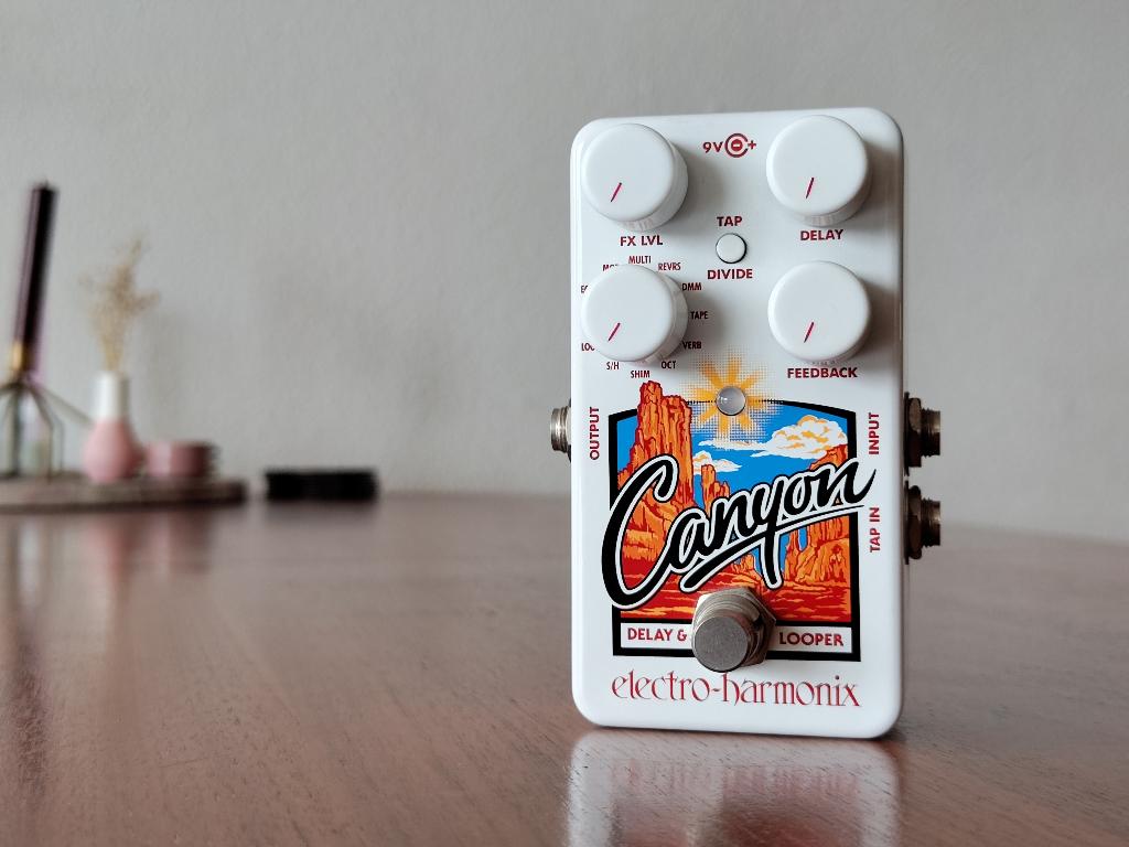 Electro-Harmonix Canyon | Delay & Looper Pedaal, Muziek en Instrumenten, Effecten, Verzenden, Zo goed als nieuw, Delay of Echo