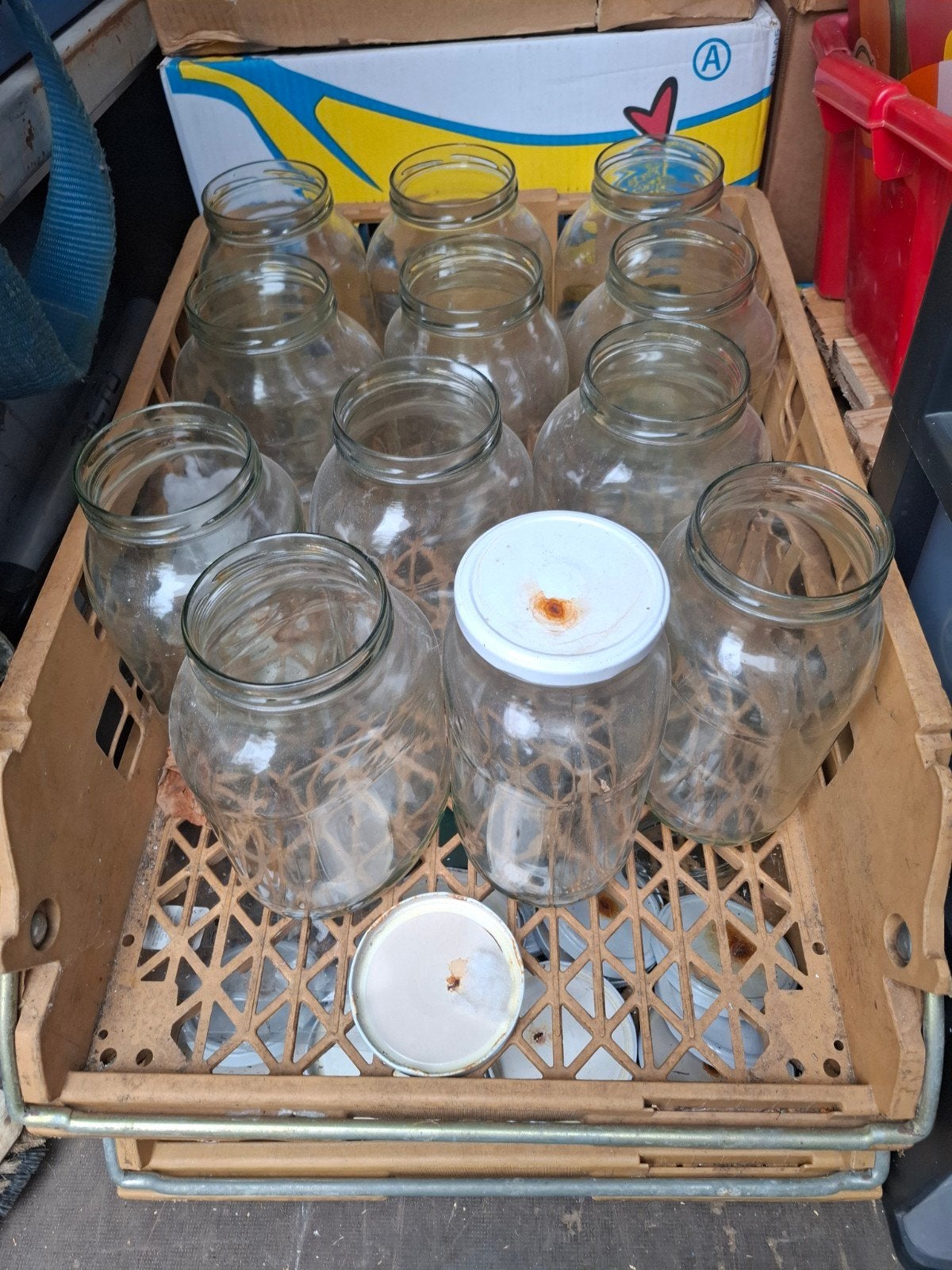 Grote glazen bokalen en bananendozen met deksel, Ophalen of Verzenden, Rond, Glas