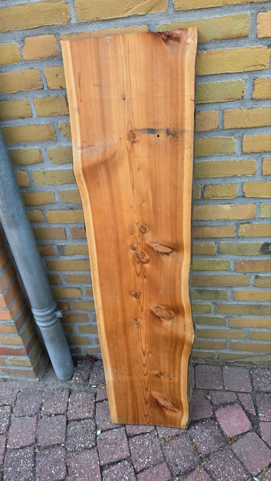 Prachtige Boomstam Plank / Iepenhout – 120 x 30 x 3,5 cm 🌞⚒, Ophalen of Verzenden, Nieuw