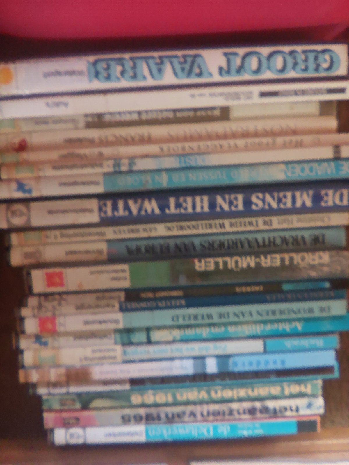 Informatieve Boekwerken: Diverse Onderwerpen, Boeken, Literatuur, Ophalen of Verzenden, Gelezen, Diverse Auteurs, Nederland