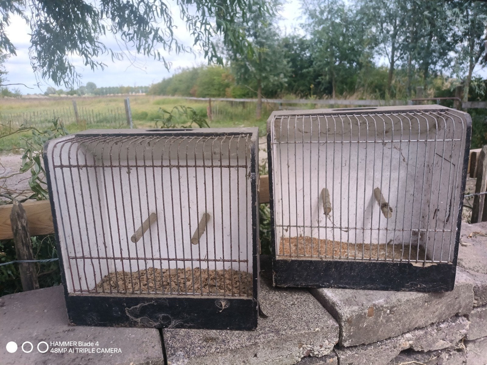 Vogelkooi voor transport en/of tentoonstelling, Ophalen of Verzenden, Hout, Vogelkooi