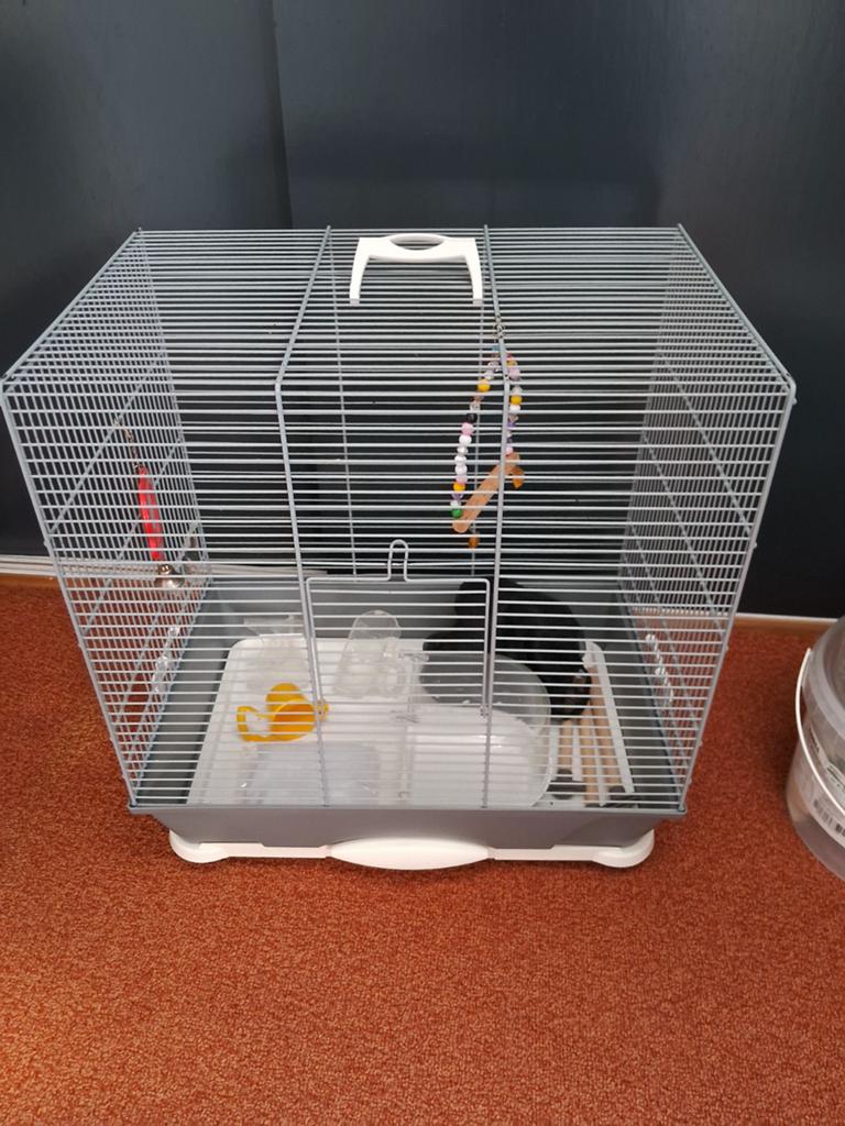 Mooie vogelkooi met toebehoren, Ophalen, Zo goed als nieuw, Metaal, Vogelkooi