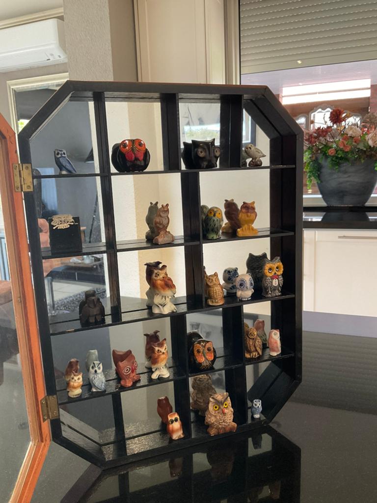 Verzameling mini uilen 23 stuks met kastje uil, Ophalen, Zo goed als nieuw