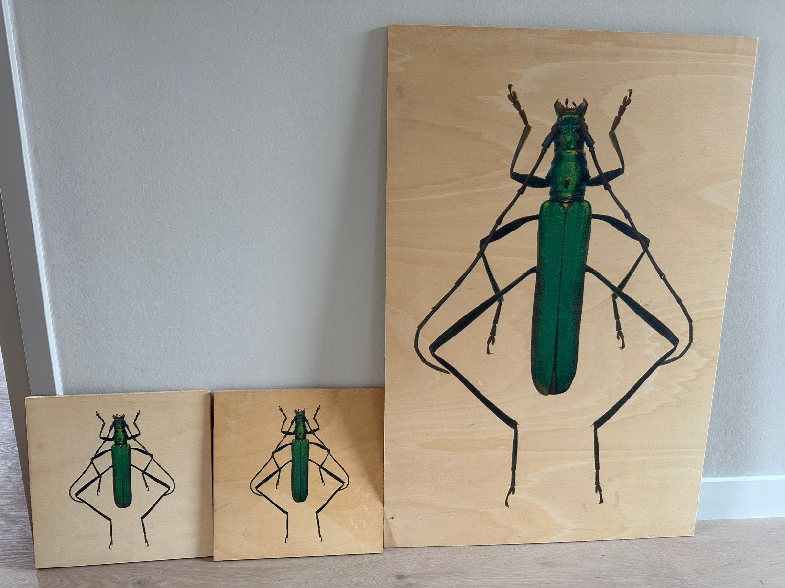 Insect geprint op hout, Ophalen, Zo goed als nieuw
