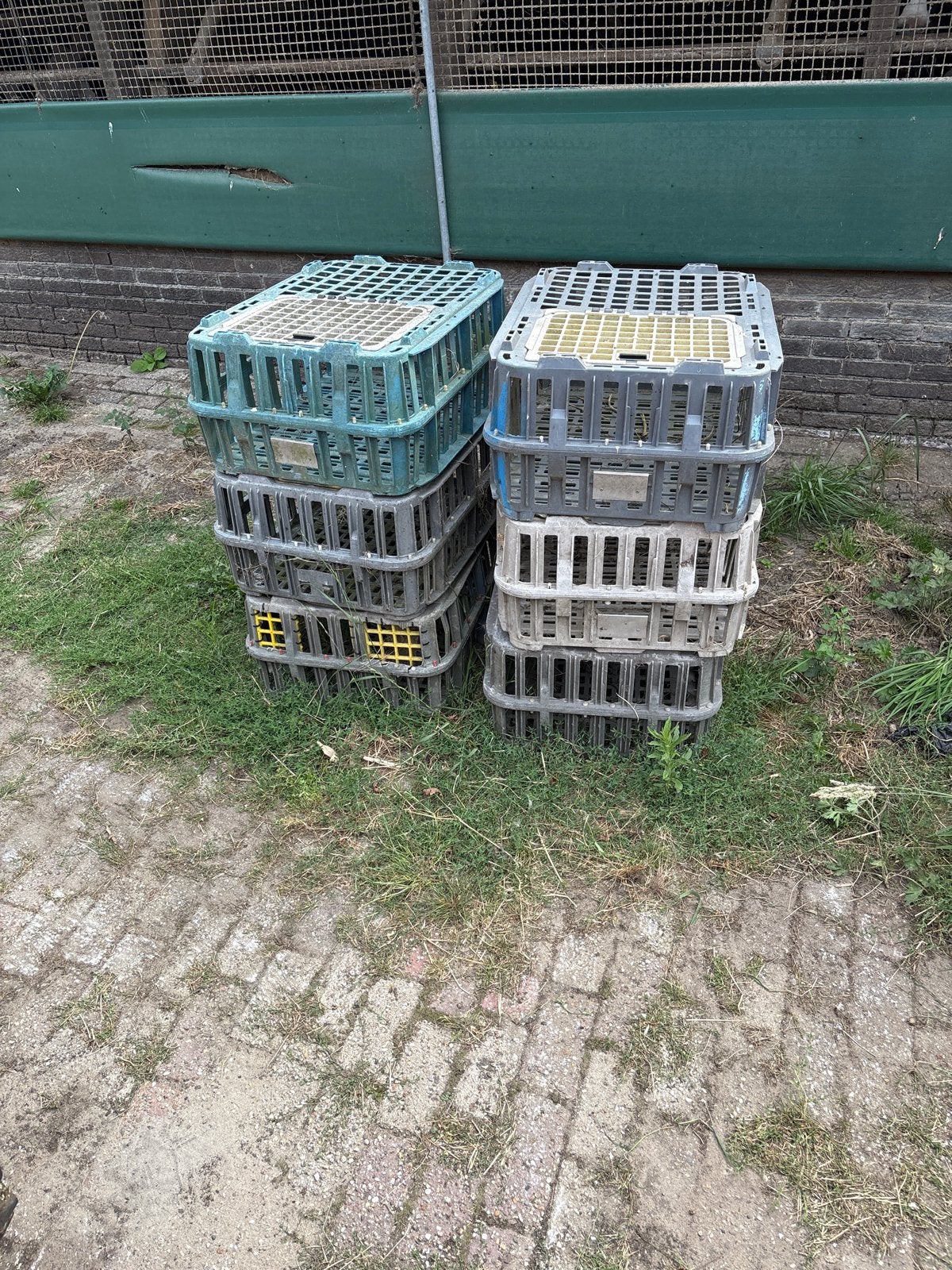 Kippen transportkisten, Ophalen, Gebruikt