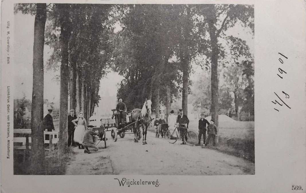 Balk Wijckelerweg (Fr) 1901 | Uitg. M. Overdiep No. 569, Verzamelen, Ophalen of Verzenden, Voor 1920, Ongelopen, Friesland