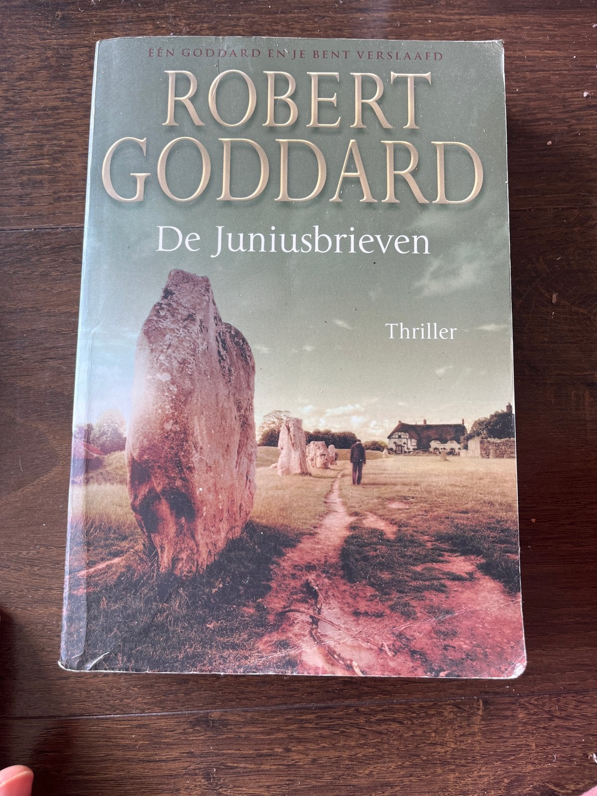 De Juniusbrieven - Robert Goddard (Thriller), Boeken, Thrillers, Gelezen, Europa overig, Ophalen of Verzenden