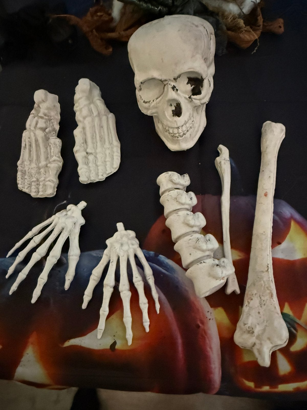 Halloween, Ophalen of Verzenden, Halloween of Griezel