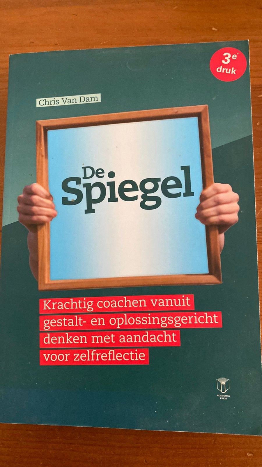 Chris van Dam - De spiegel, Ophalen of Verzenden, Chris van Dam, Ontwikkelingspsychologie, Zo goed als nieuw