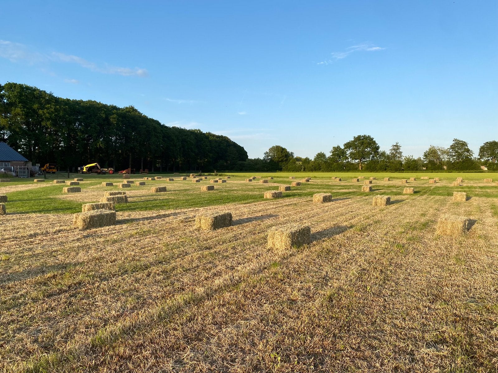 Hooibaaltjes  met touwtjes ca 20 kg, Dieren en Toebehoren, Ophalen, Vee