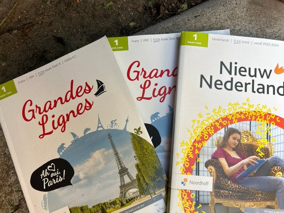 Schoolboeken Frans en Nederlands - NIEUW, Boeken, Ophalen of Verzenden, Nieuw, HAVO, Frans