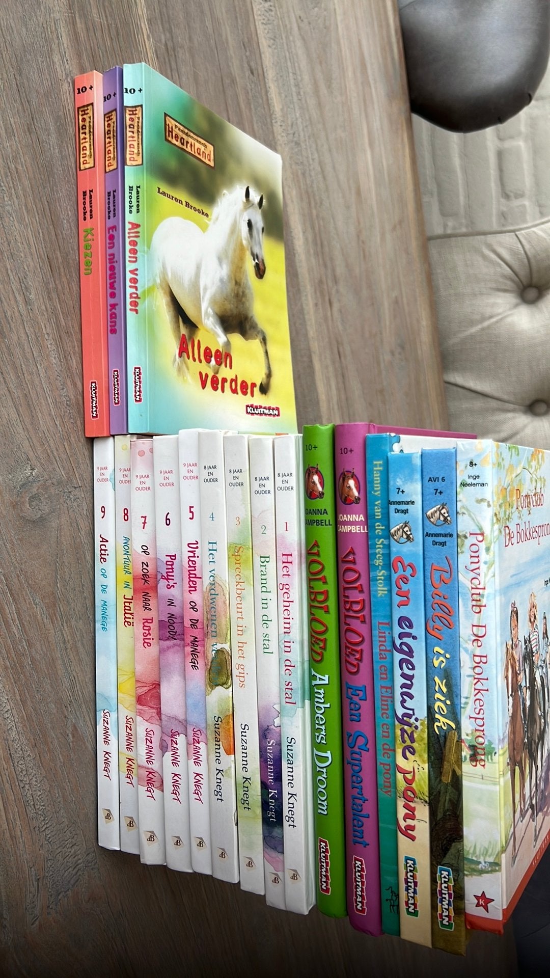 Leesboeken over paarden, Ophalen of Verzenden, Zo goed als nieuw, Non-fictie
