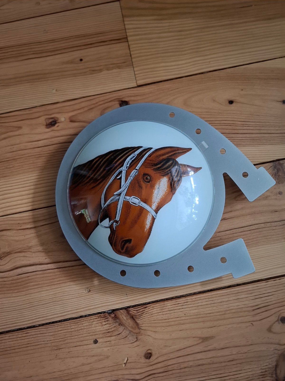 Hoefijzer wandlamp met paardenhoofd, Metaal, Gebruikt, Meerkleurig, E14 (klein)