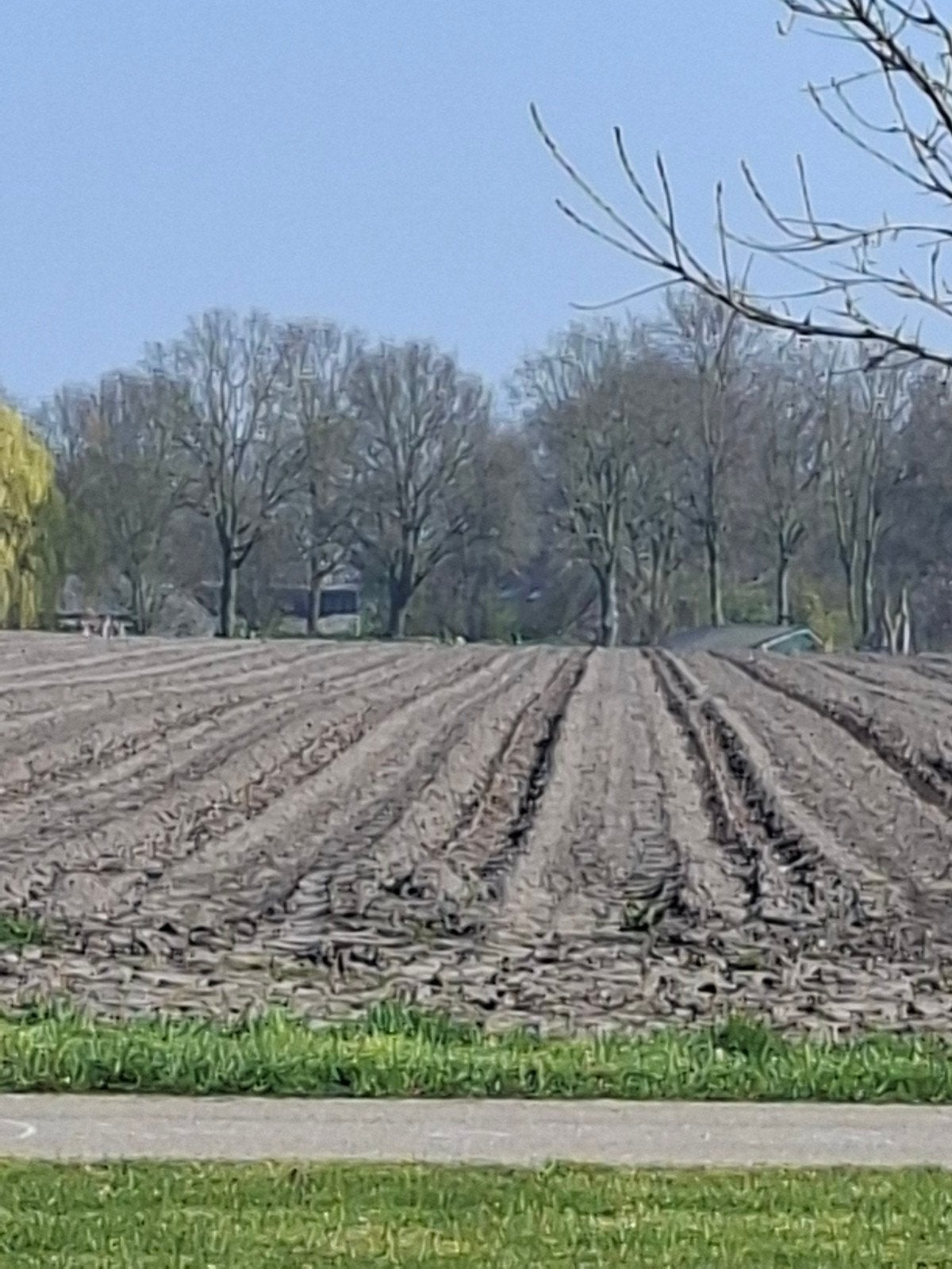 Gratis zwarte grond afvoeren, Tuin en Terras, Aarde en Mest, Ophalen of Verzenden, Tuinaarde