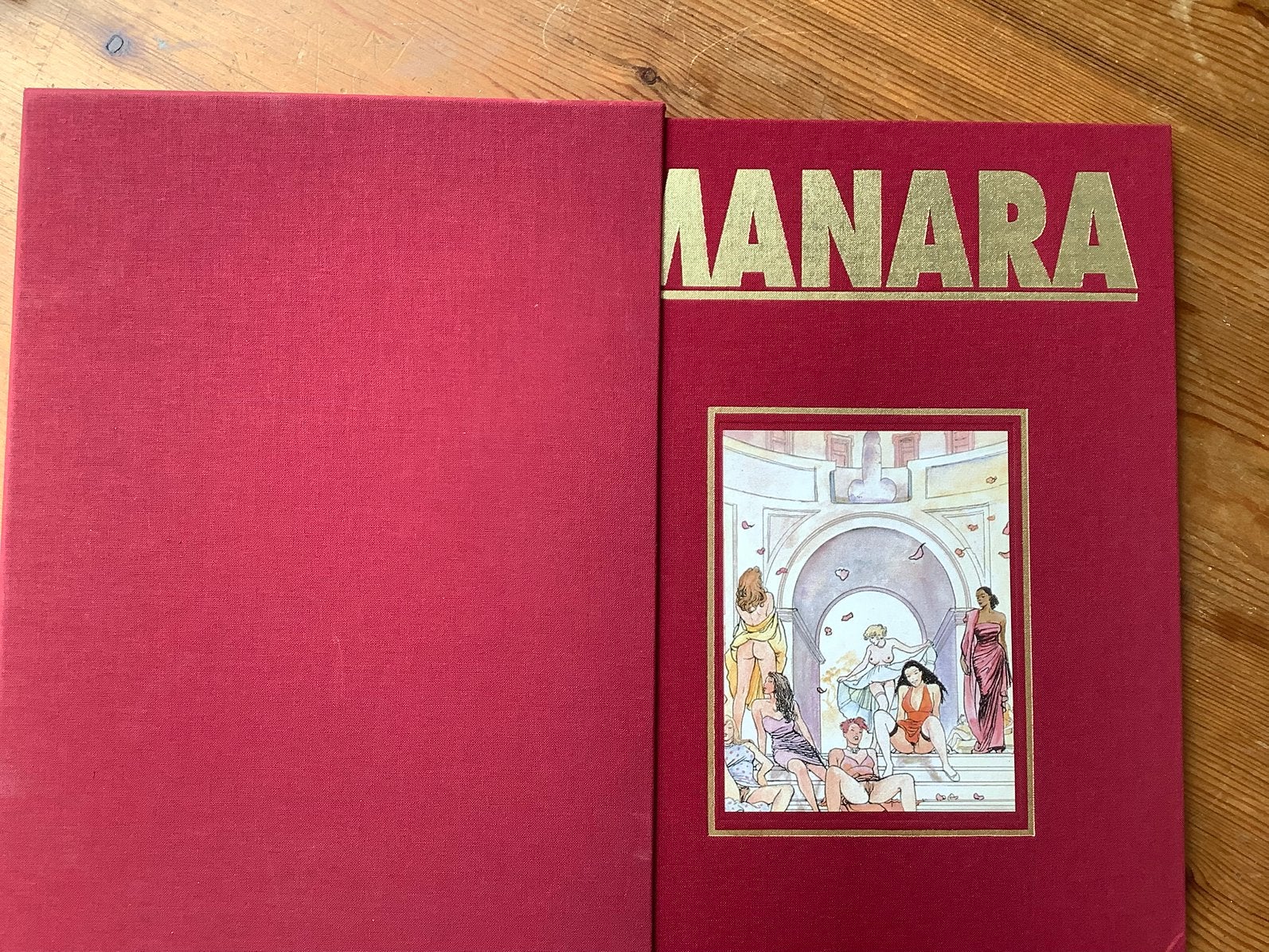 Manara, Boeken, Eén stripboek, Ophalen of Verzenden, Zo goed als nieuw