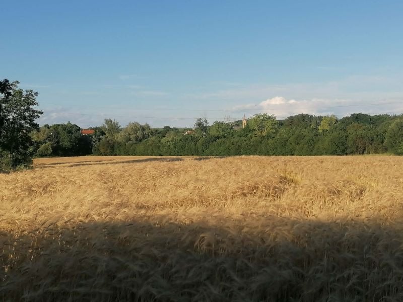 2,5 hectare bouwgrond aan de rand van het bos nabij de stad., Overige soorten, Overig Europa, Stad