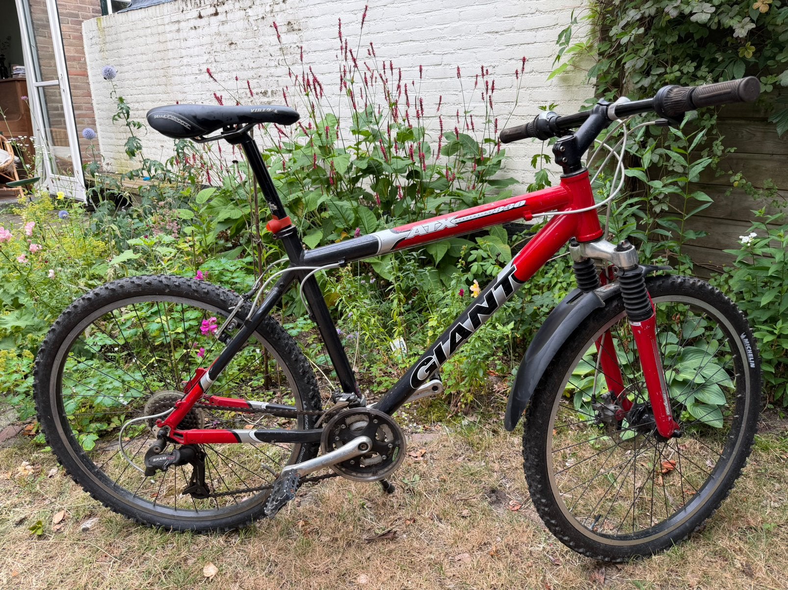 Mountainbike, Ophalen, Gebruikt, Giant