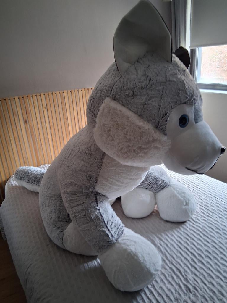 Nicky Toy knuffel pluche hond nieuw, Ophalen