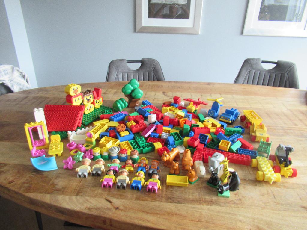 Heel veel duplo blokken dieren schommel platen enz., Kinderen en Baby's, Ophalen of Verzenden, Zo goed als nieuw, Duplo