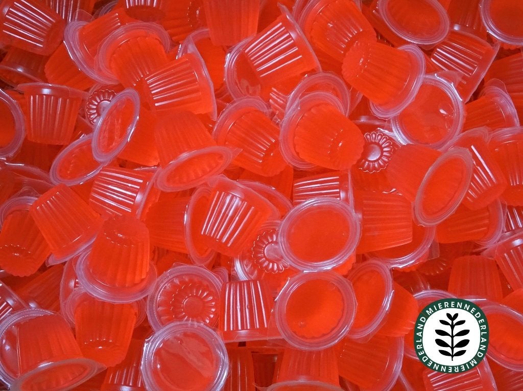 BEETLE JELLY I PROTEINE JELLY I MIEREN VOEDING I INSECTEN, Overige soorten