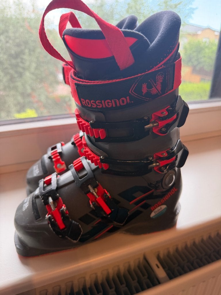 Skischoenen maat 23.5 (276 mm) EU38/39 race/begin/gevorderd/, Gebruikt, Rossignol, Schoenen, Ophalen of Verzenden