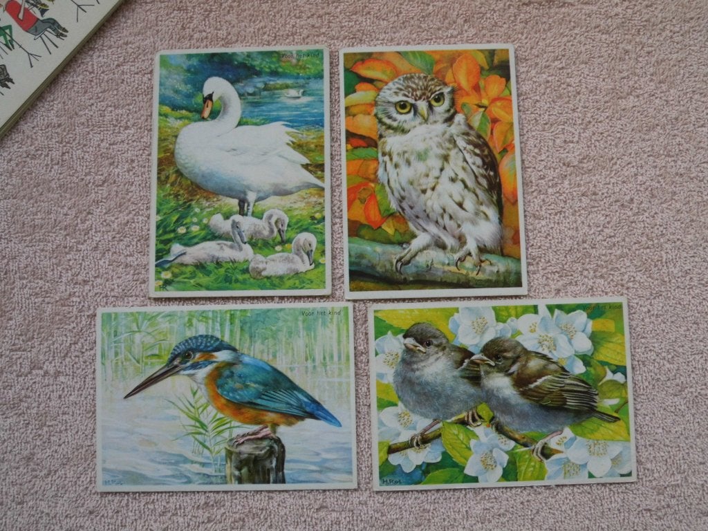 4 Ansichtkaarten met Vogels - Zwaan, Uil, IJsvogel, Mussen, Gelezen, H. Rol., Ophalen of Verzenden, Vogels