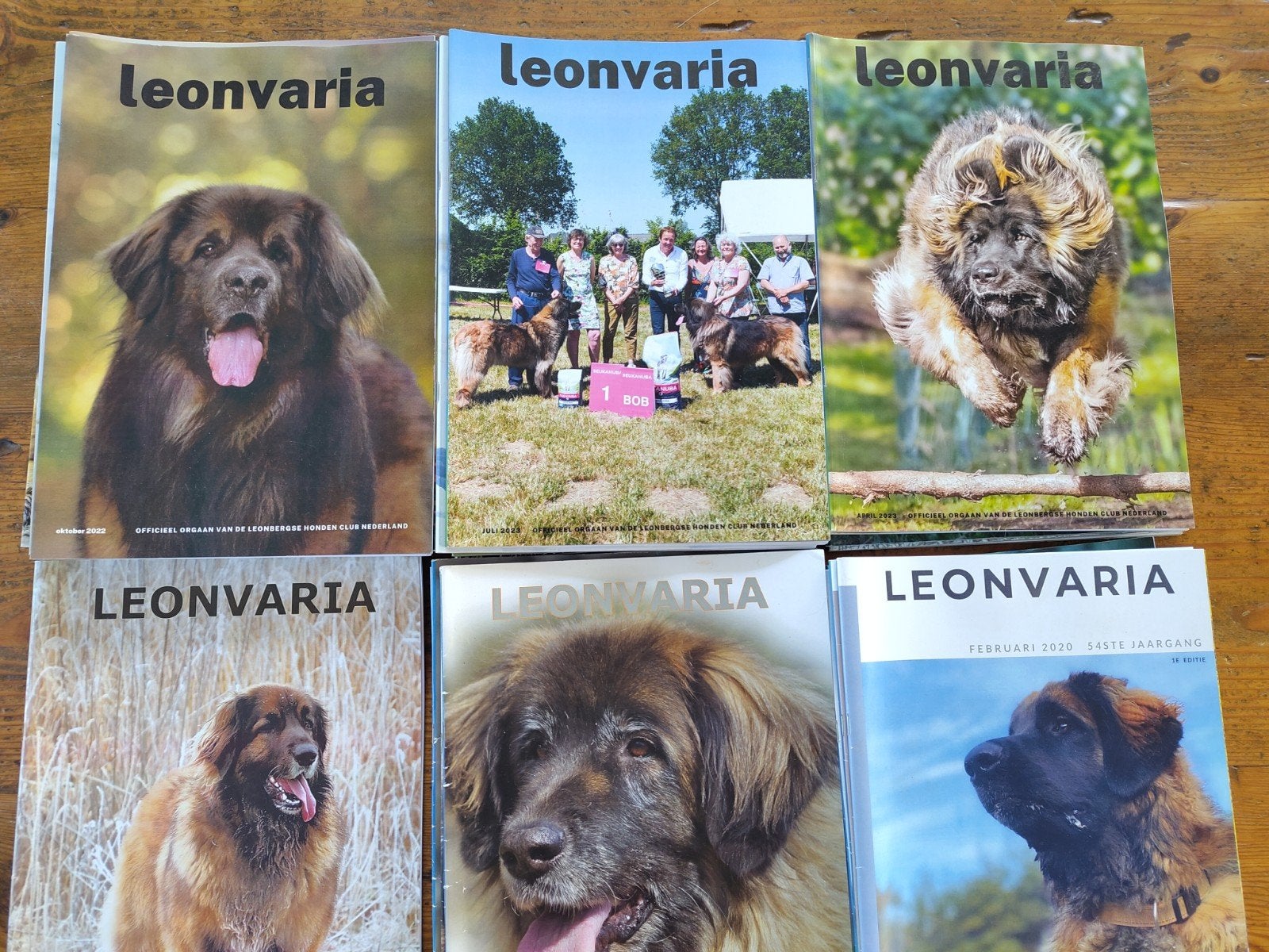 Leonvaria tijdschriften - Officiële uitgave Leonbergse Hond, Ophalen, Gelezen, Overige typen