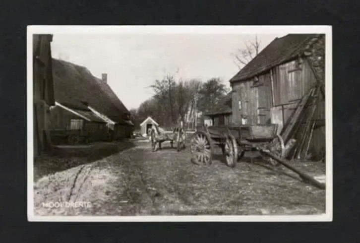 Drenthe Boerderijen Karren Onbekend Waar 1953., Ophalen of Verzenden, 1940 tot 1960, Ongelopen, Drenthe