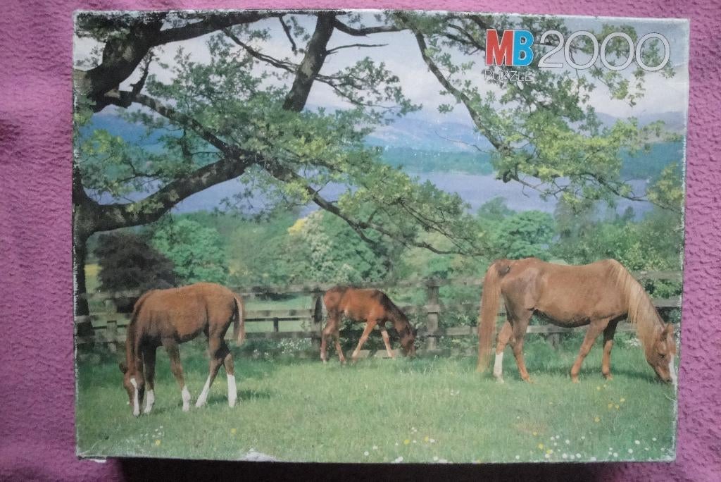 MB MAJESTIC  PUZZLE 2.000 stukjes voor 3.50euro., Ophalen of Verzenden, 500 t/m 1500 stukjes, Gebruikt