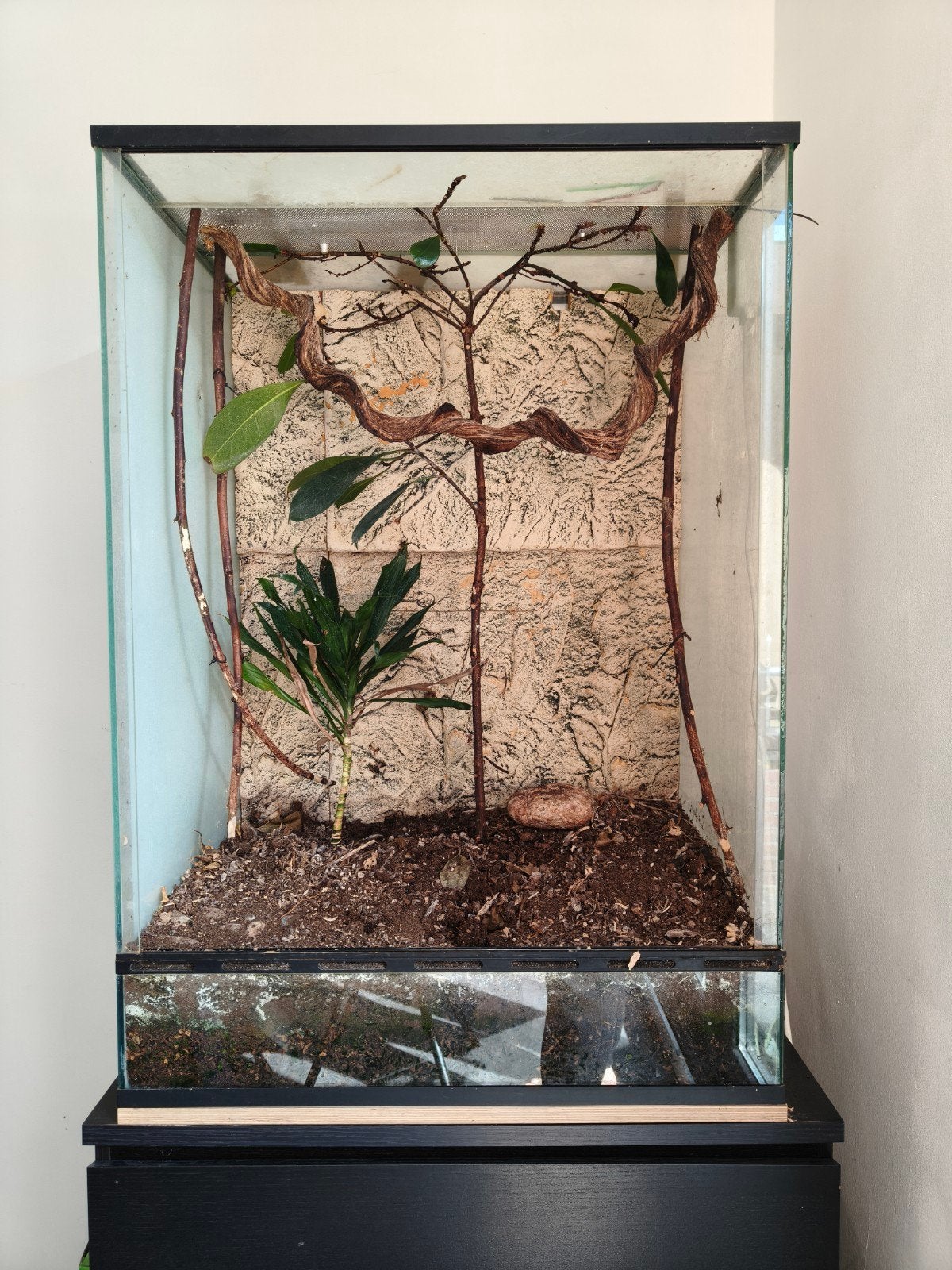 Bioactief Blue Lagoon Terrarium met toebehoren, Ophalen, Gebruikt, Terrarium of Paludarium