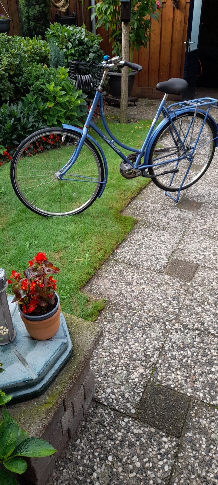Gazelle omafiets - Klassiek en betrouwbaar, Terugtraprem, Ophalen of Verzenden, Handrem, Gazelle