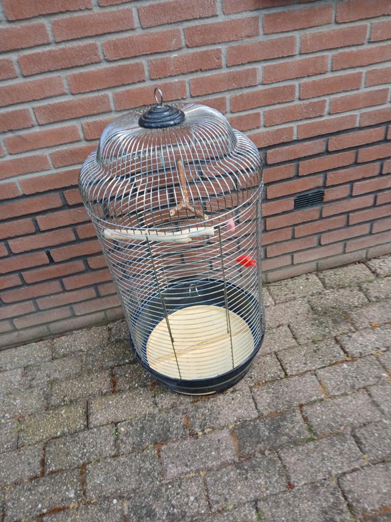 Tk zeer ruime vogelkooi 20 euro, Dieren en Toebehoren, Vogels | Hokken en Kooien, Ophalen of Verzenden, Zo goed als nieuw, Metaal