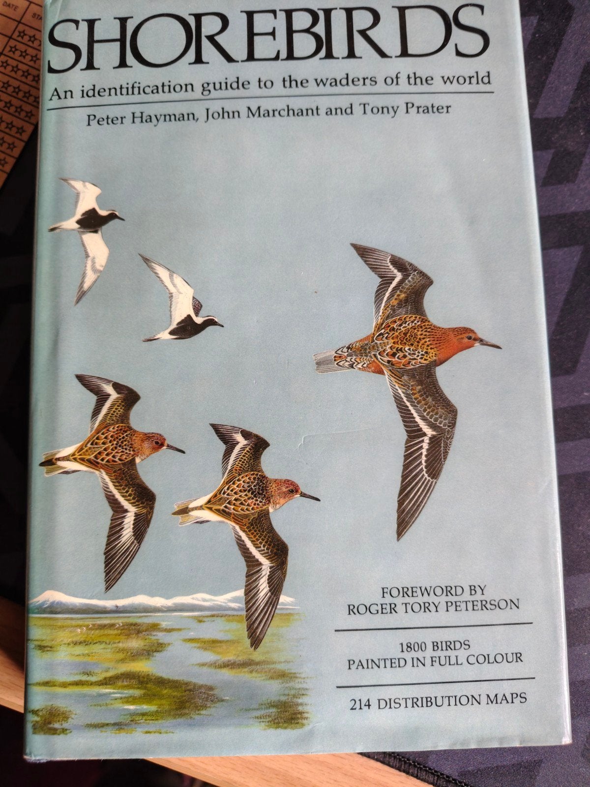 Shorebirds: An Identification Guide to Waders, Ophalen of Verzenden, Zo goed als nieuw, Vogels, Peter Hayman