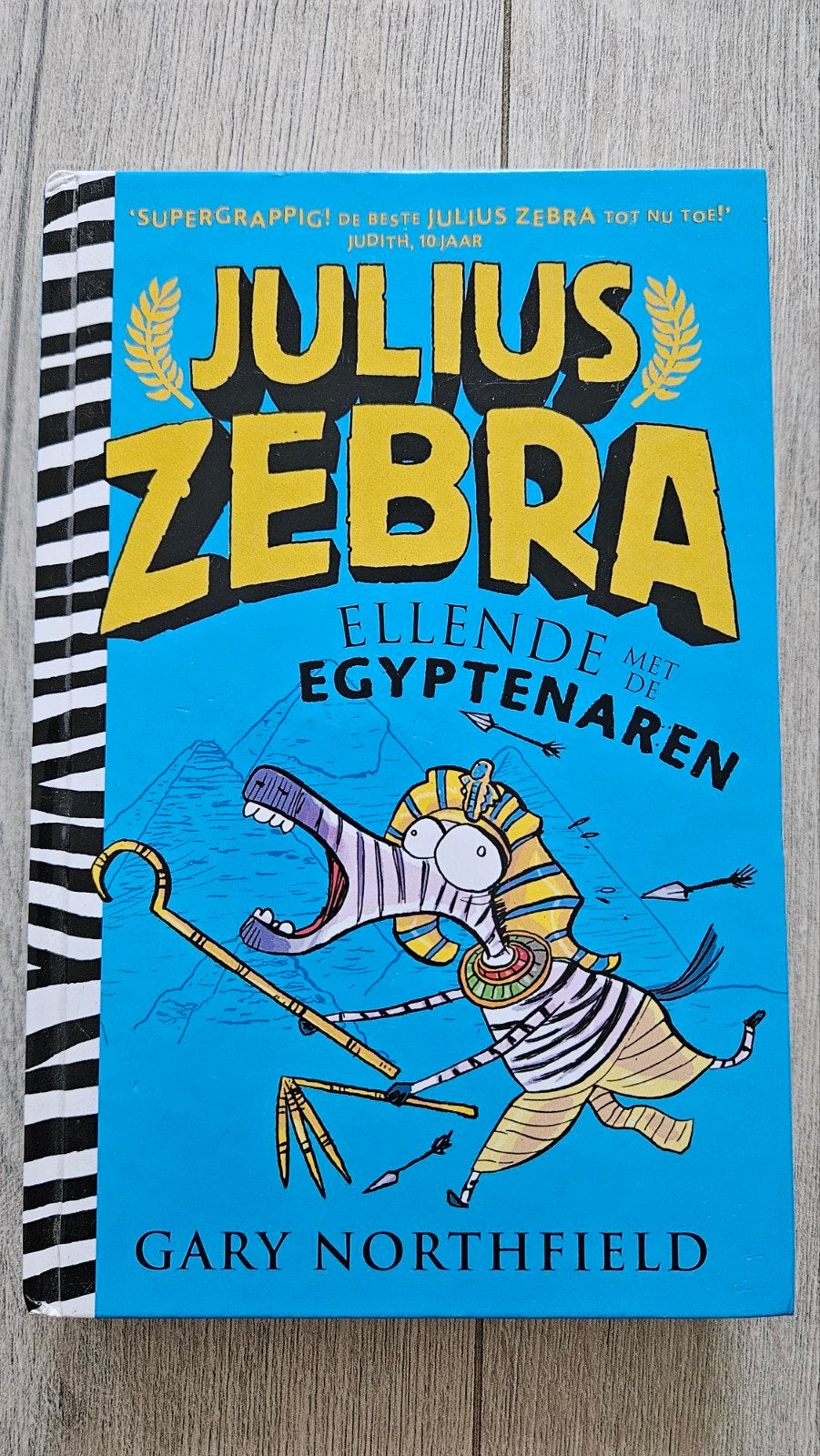 Julius Zebra: Ellende met de Egyptenaren - Gary Northfield, Ophalen of Verzenden, Gelezen, Gary Northfield, Fictie