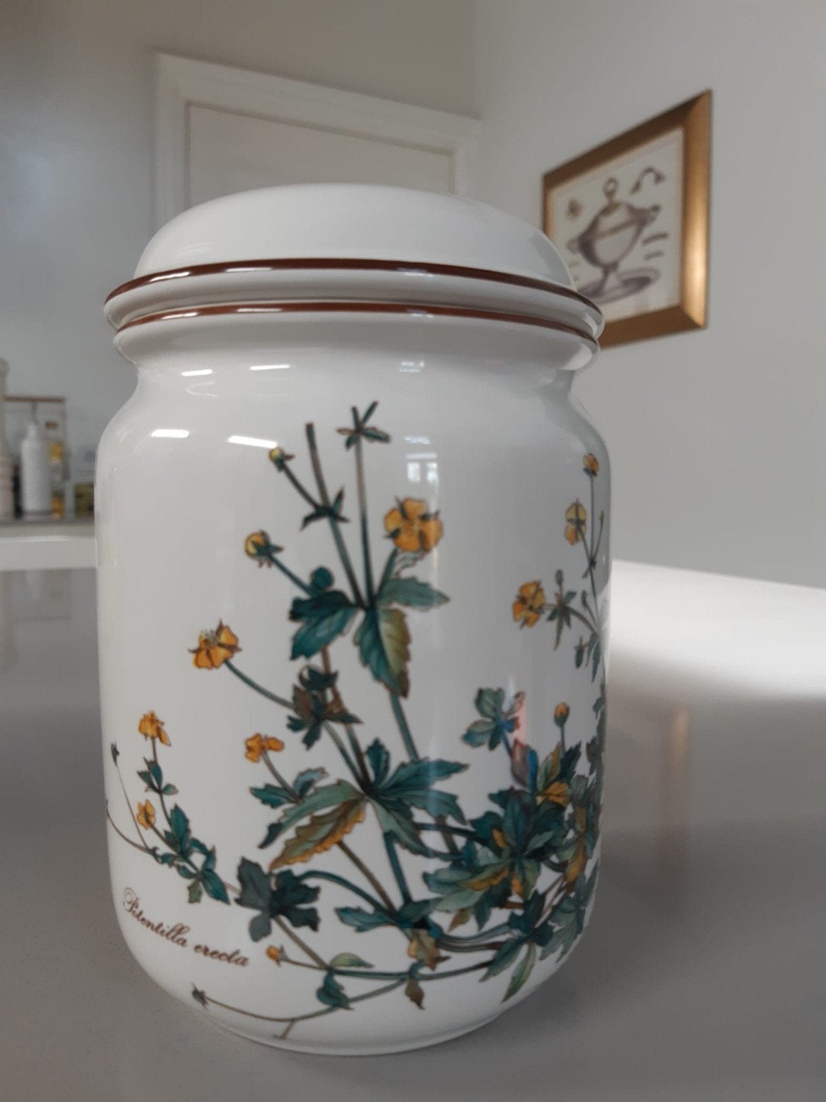 Porseleinen Voorraadpot Villeroy en Boch Botanica Schaars, Ophalen, Overige typen, Zo goed als nieuw, Overige stijlen