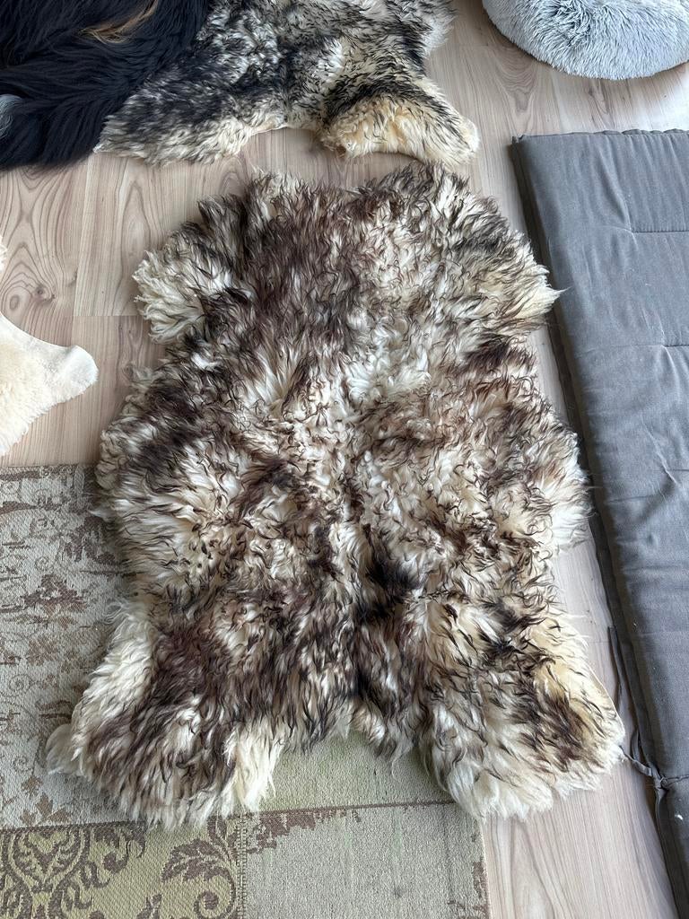 Nieuwe Luxe langharige schapenvacht bruin/crème, Ophalen, 100 tot 150 cm, Bruin, 50 tot 100 cm